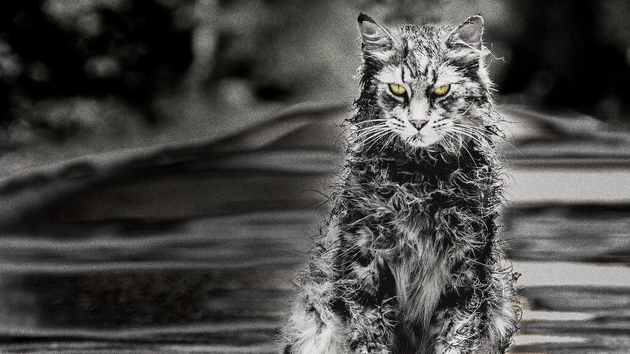 Pet Sematary (2019)