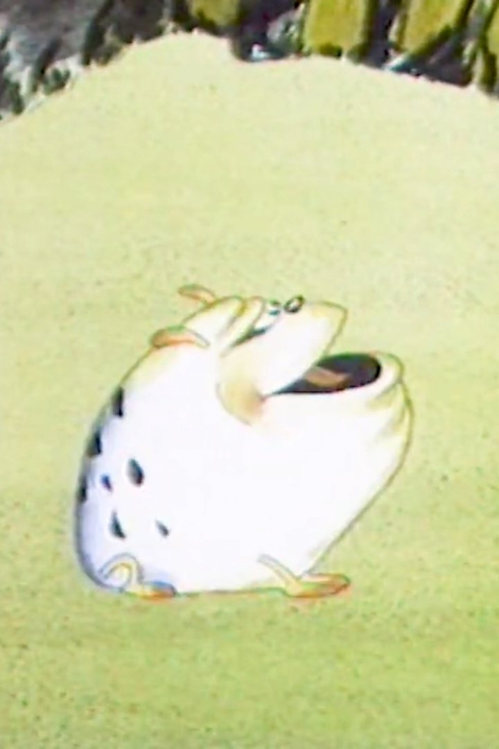 Content cover