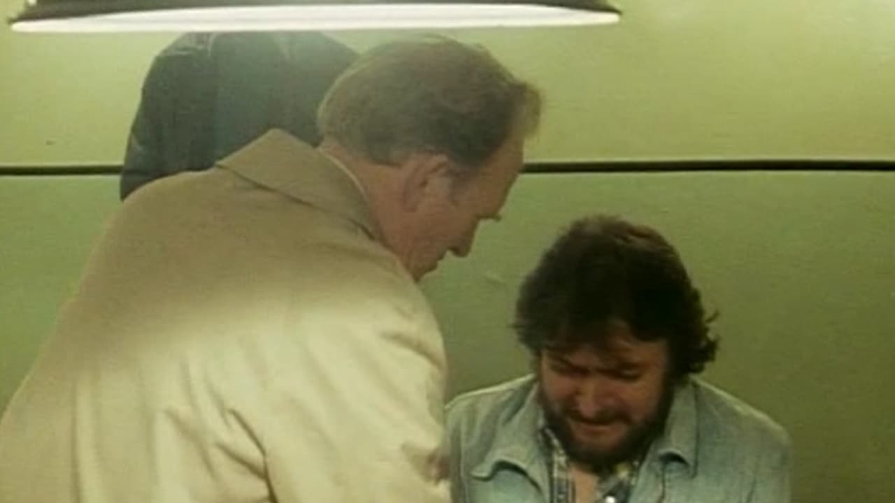 The Professionals