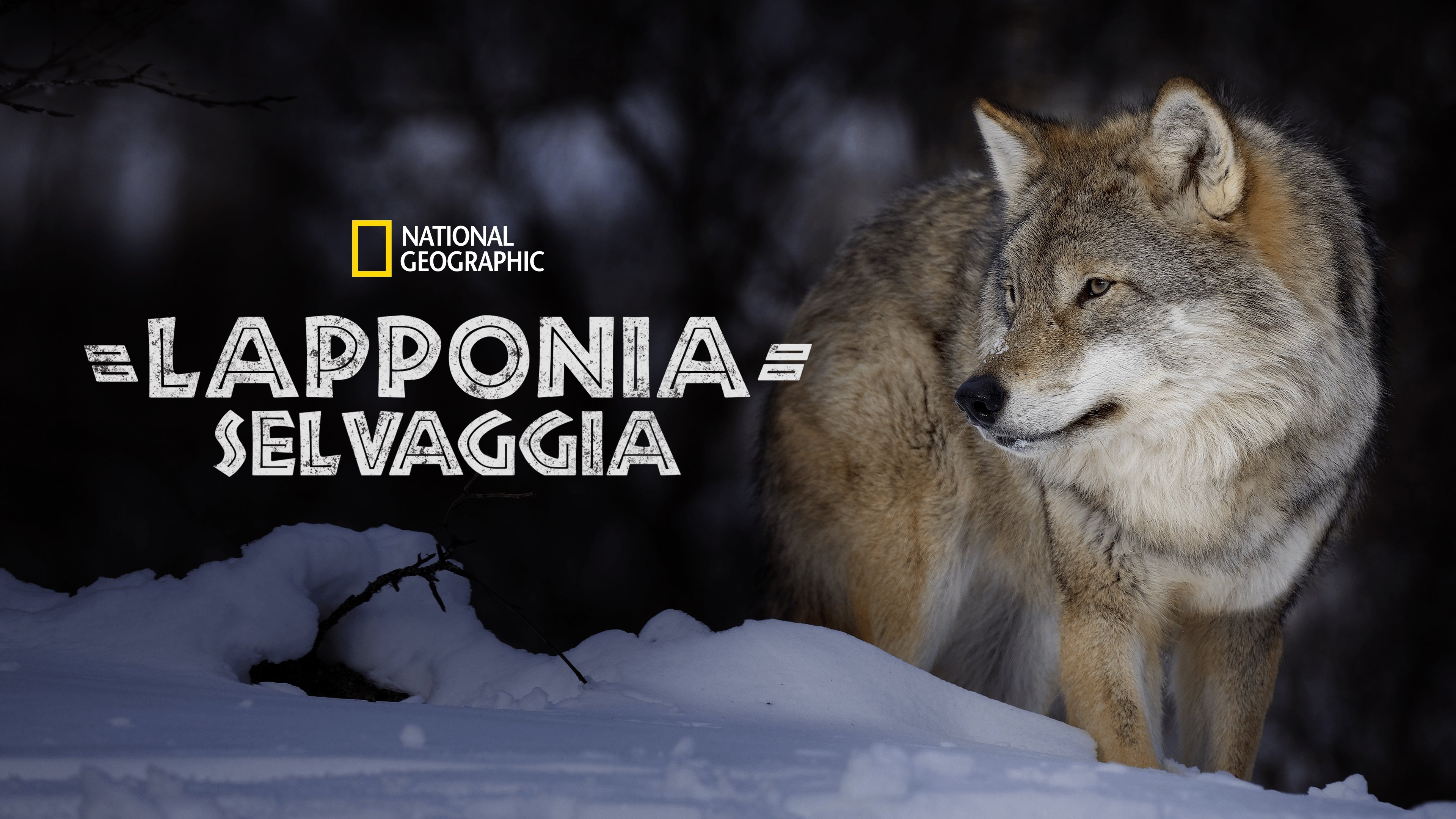 Wild Lapland