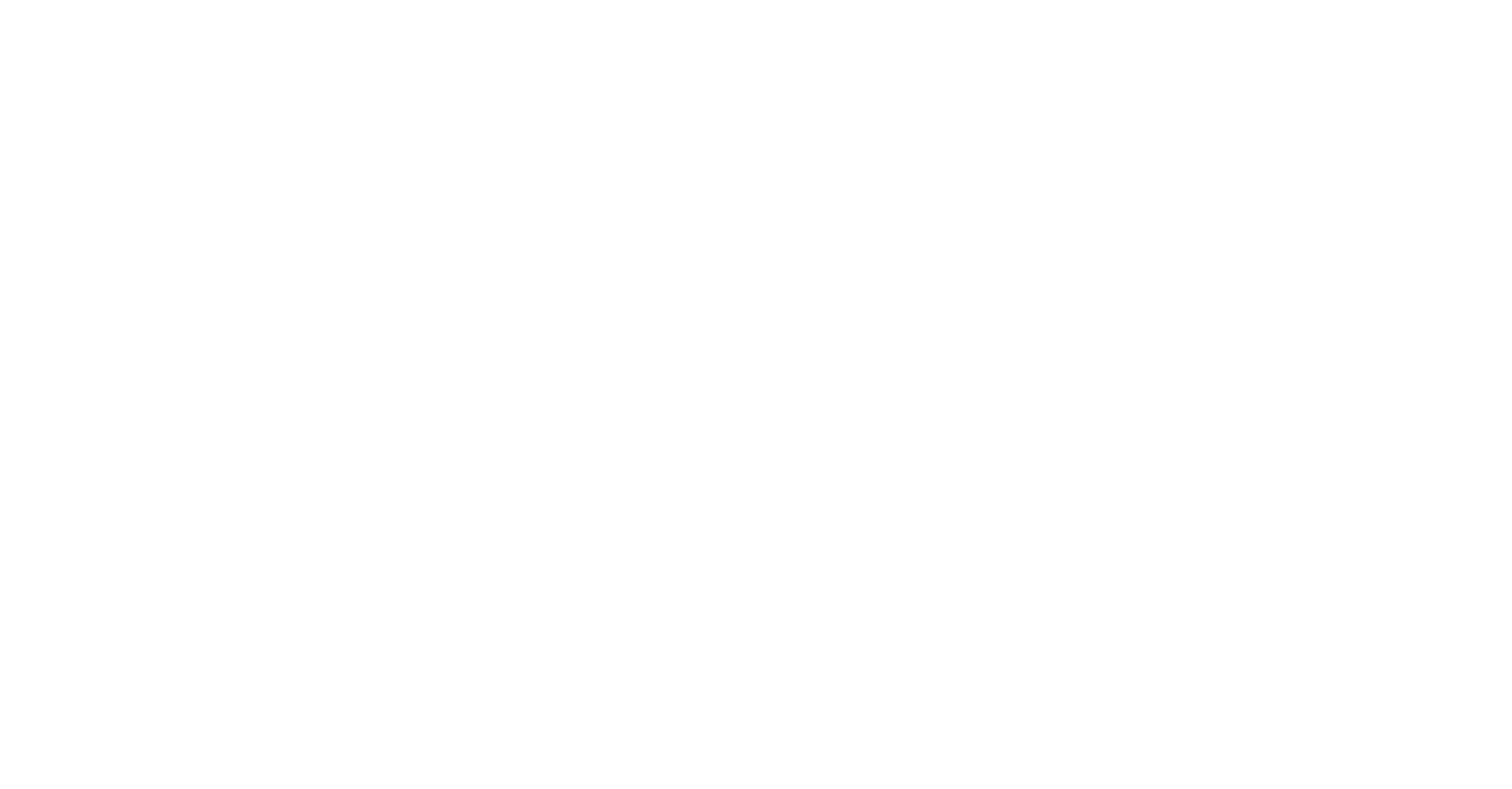 The Next Karate Kid Logo
