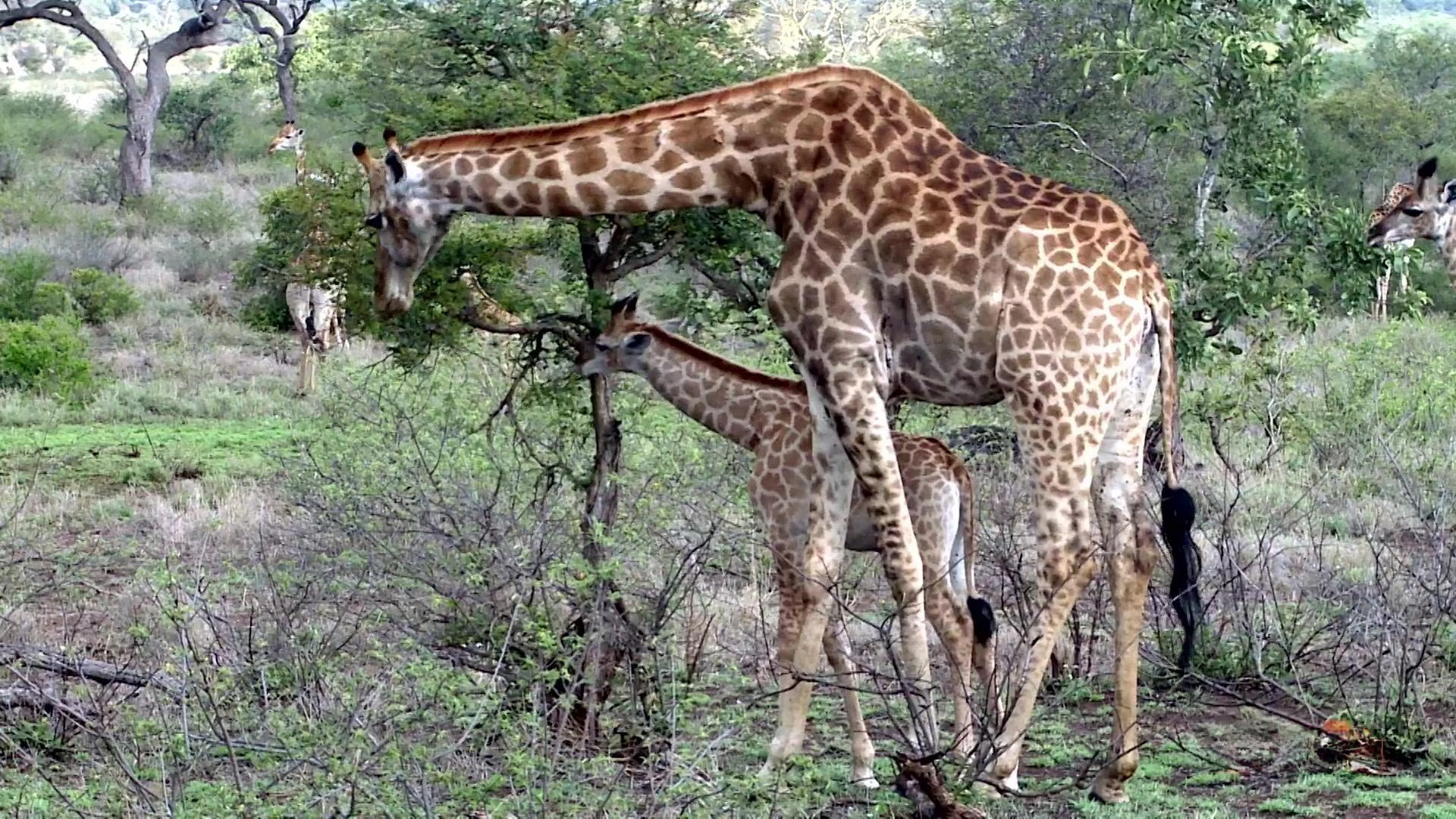 Earth Odyssey with Dylan Dreyer S06E26 backdrop
