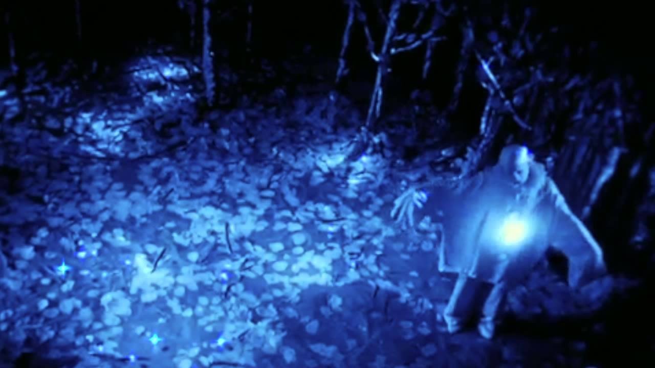 Rabbit's Moon (1971)