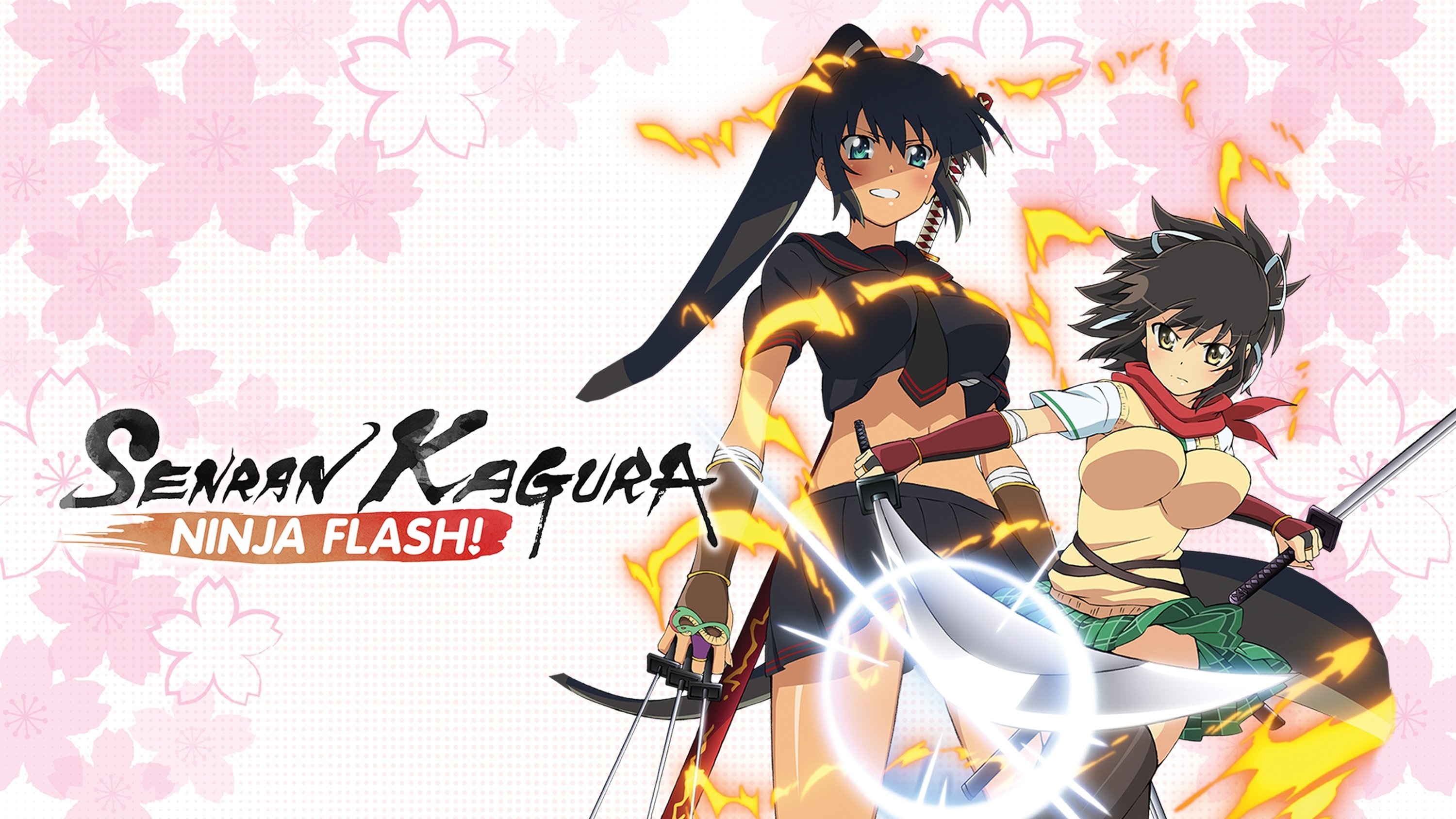 Senran Kagura: Ninja Flash