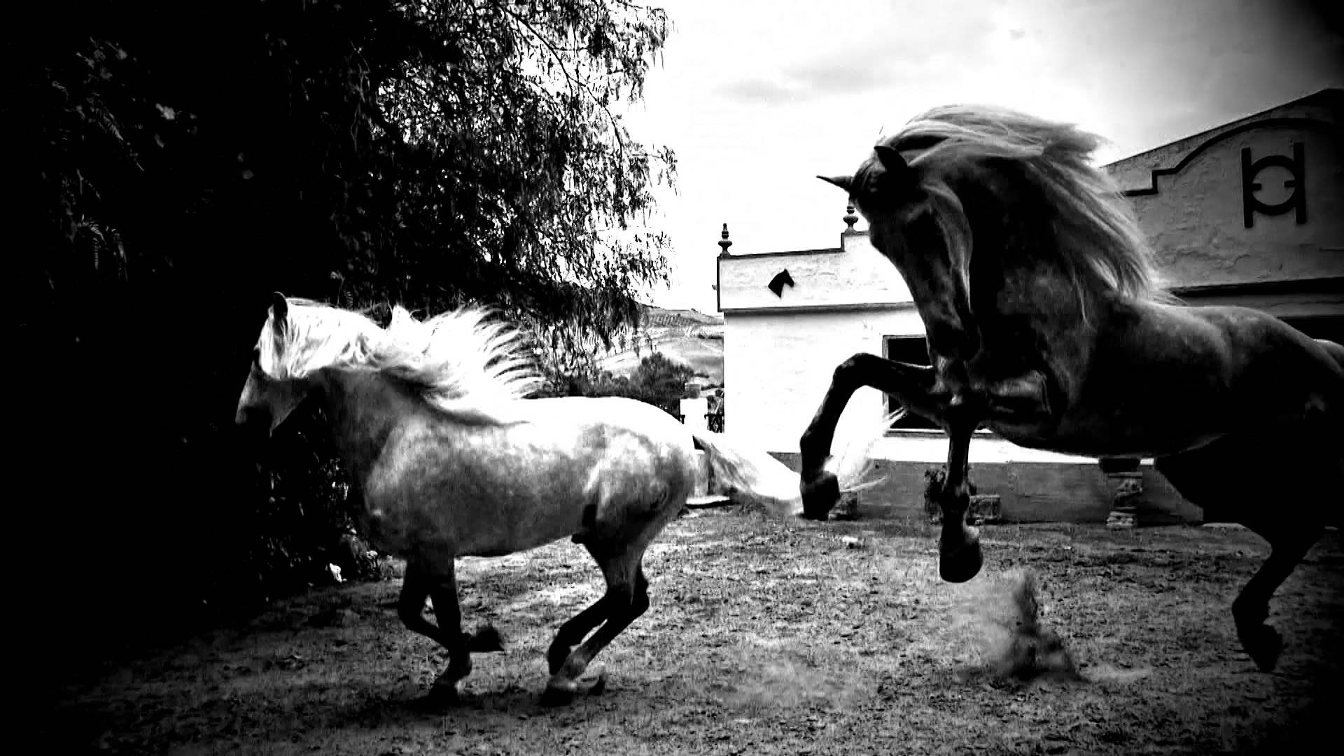 Horse of Kings, Thief of Hearts (2015)