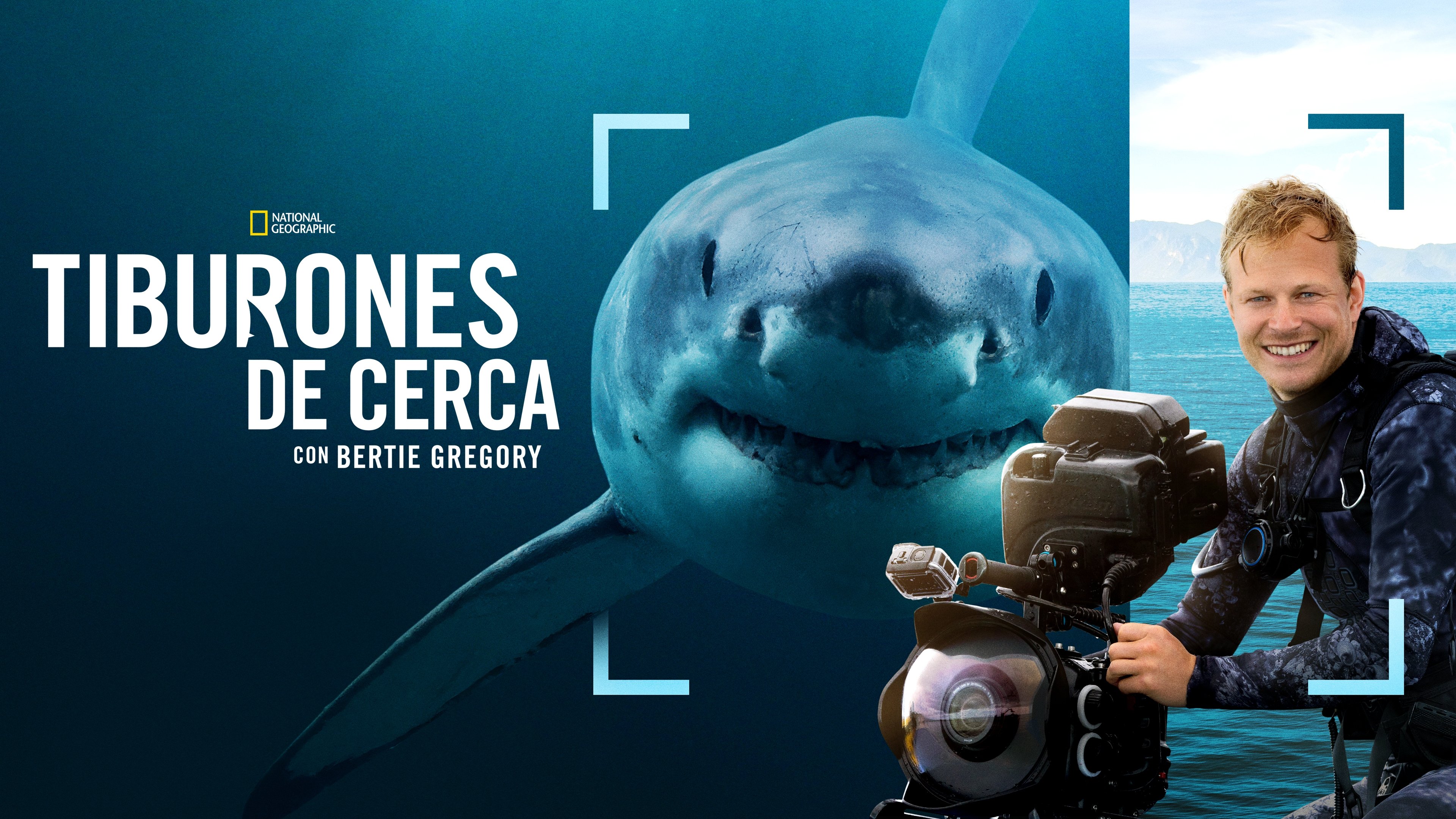 Sharks Up Close with Bertie Gregory backdrop