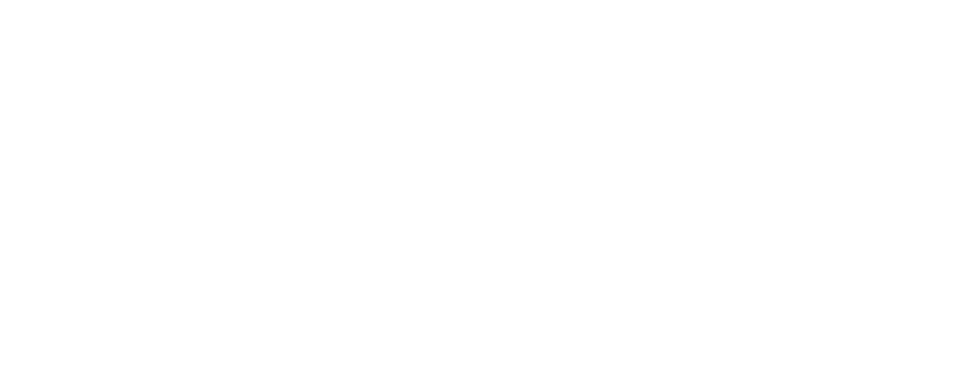 Not Cinderella's Type Logo