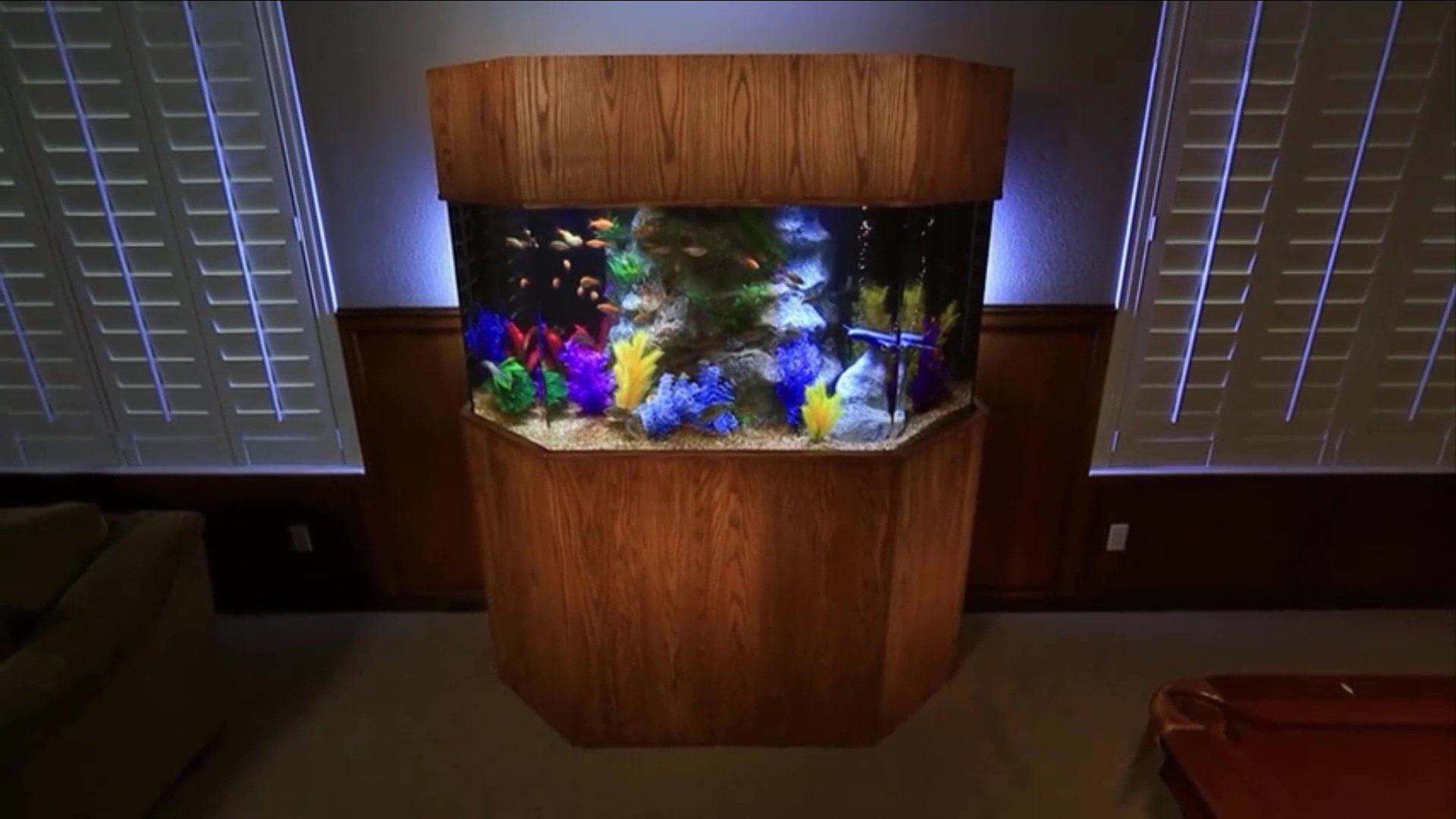 Tanked