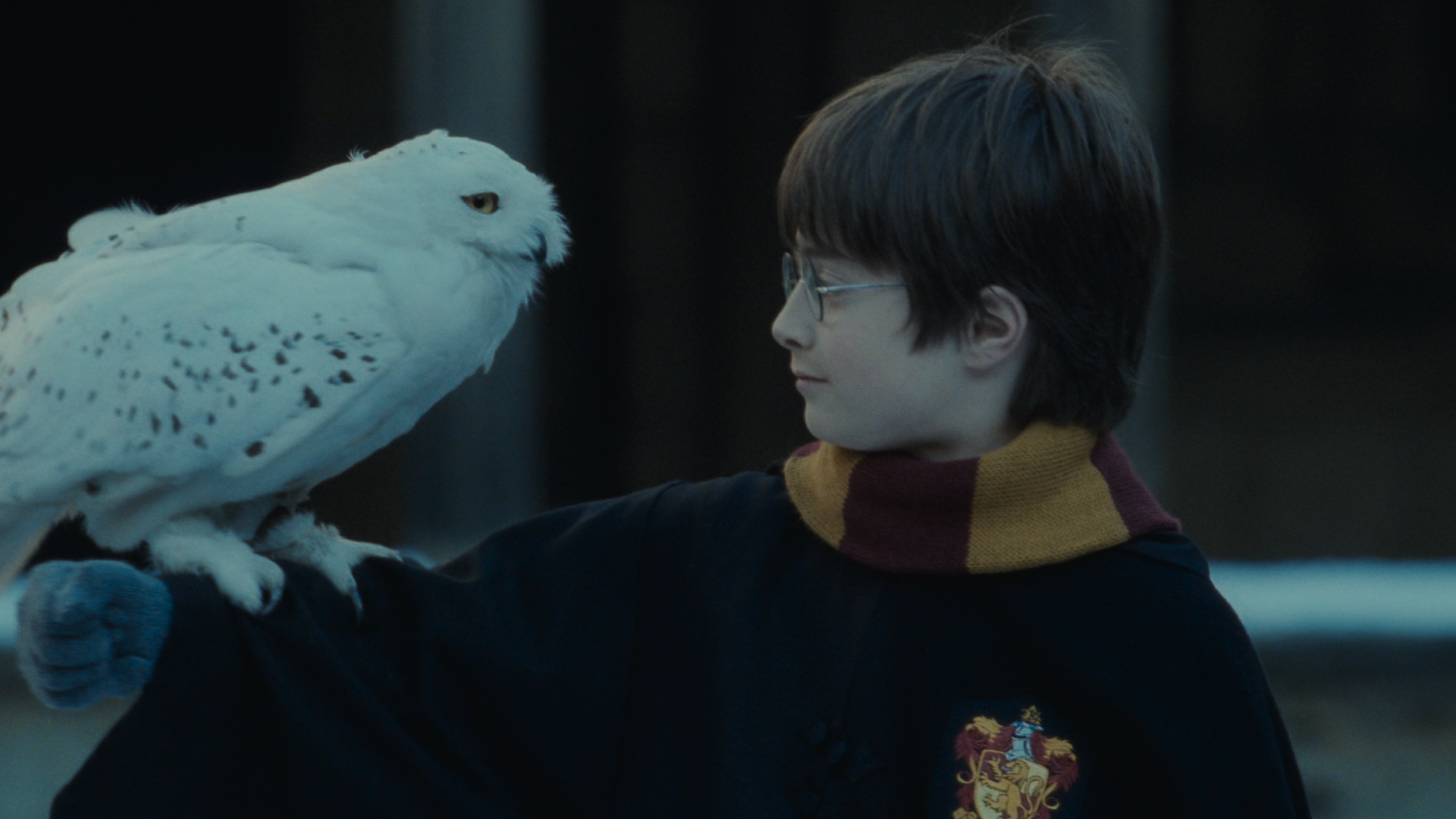 Harry Potter and the Philosopher's Stone