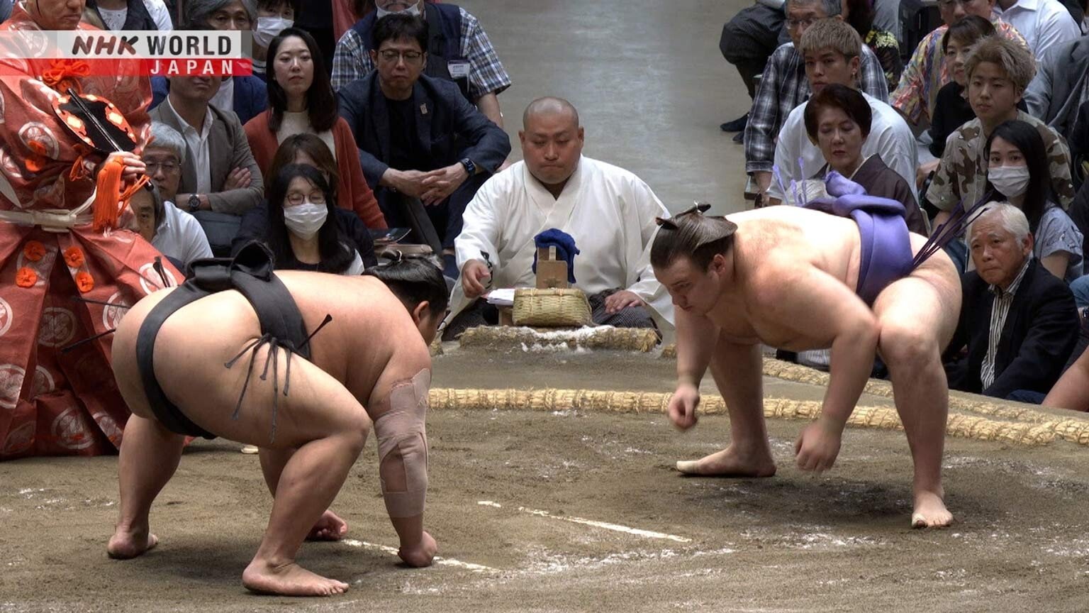 GRAND SUMO Highlights 31x10