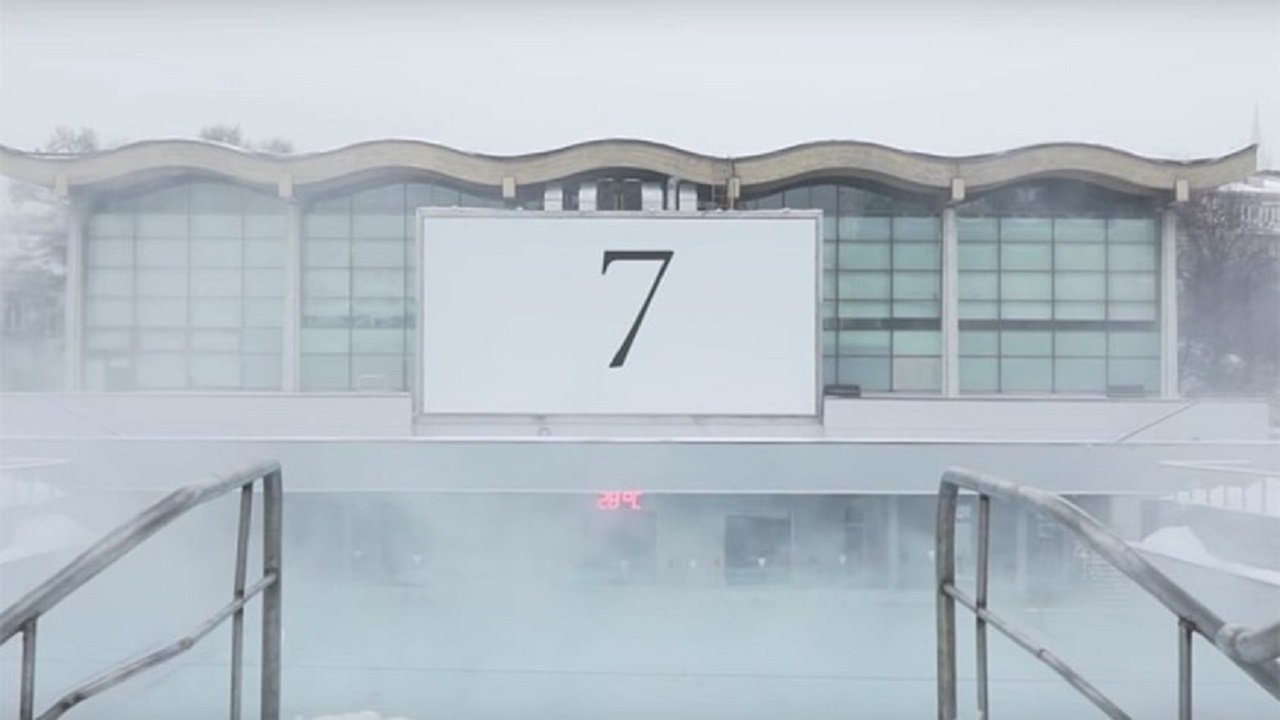 7 (2019)