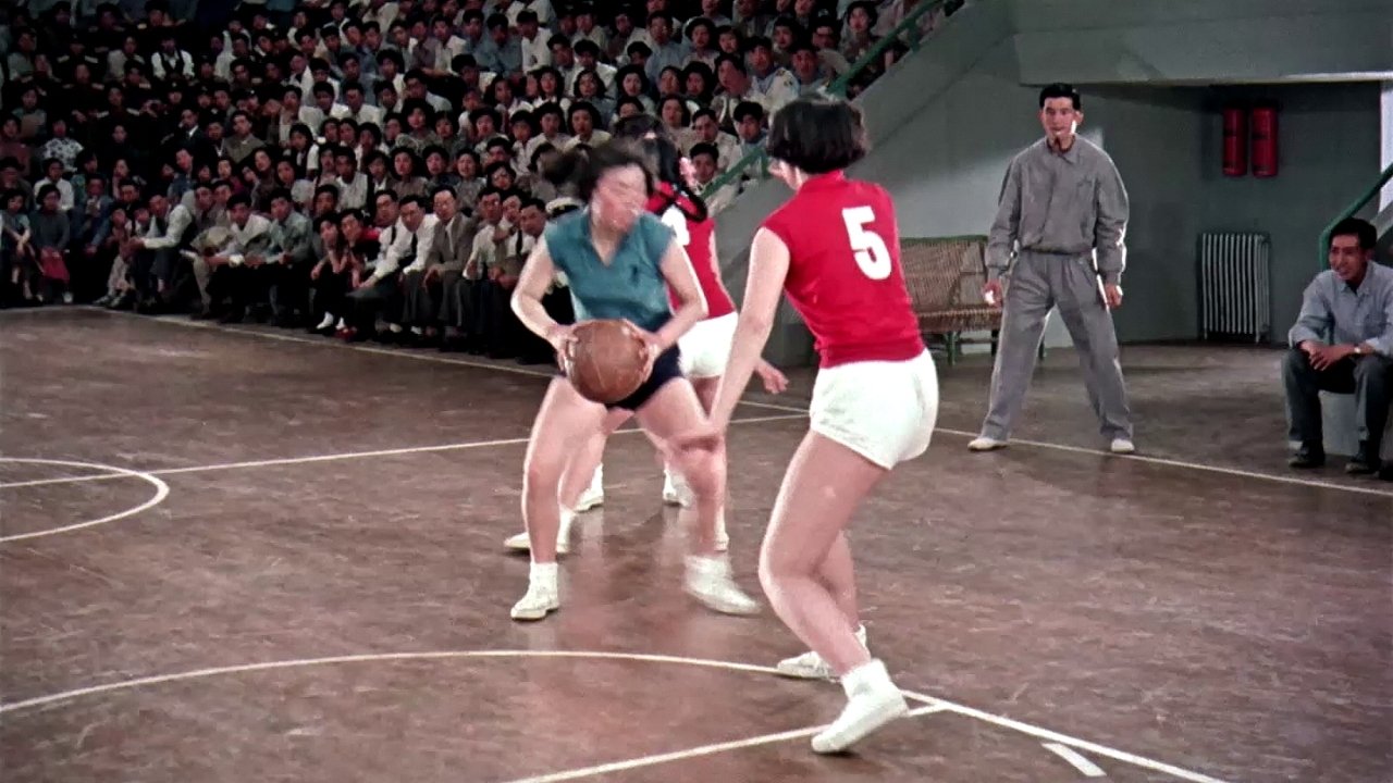 Woman Basketball Player No. 5