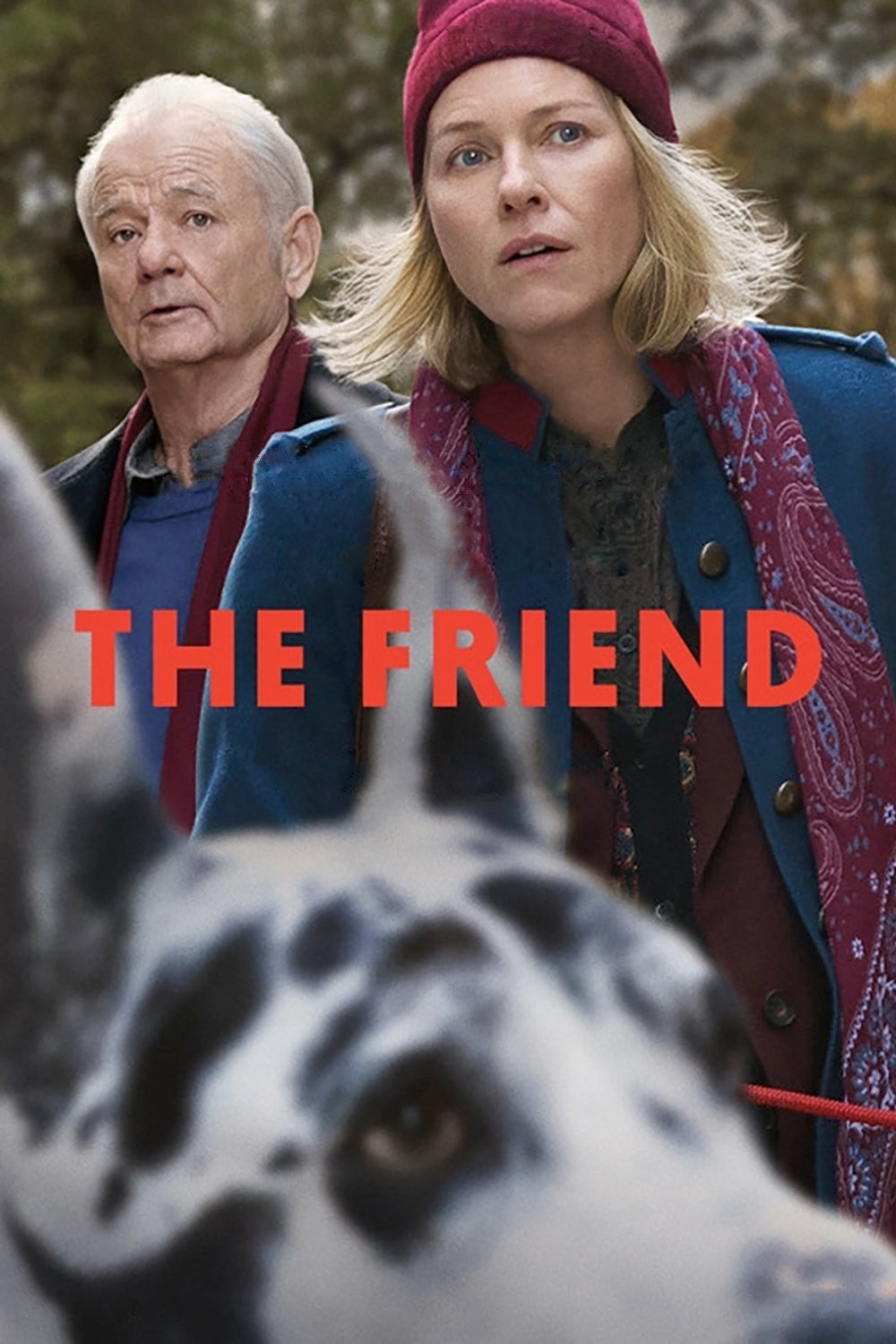 The Friend