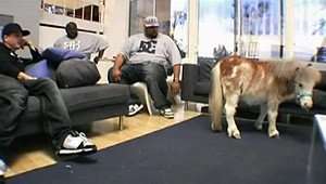 Rob & Big