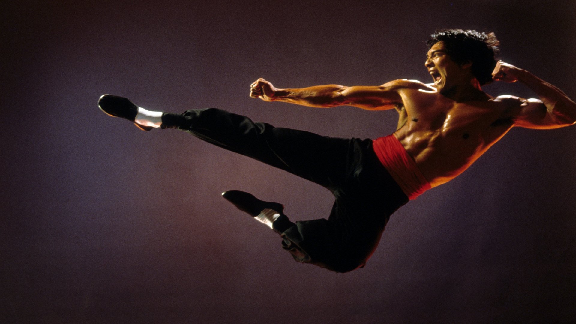 Dragon: The Bruce Lee Story (1993)