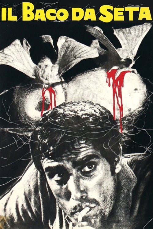 Capa do Filme 