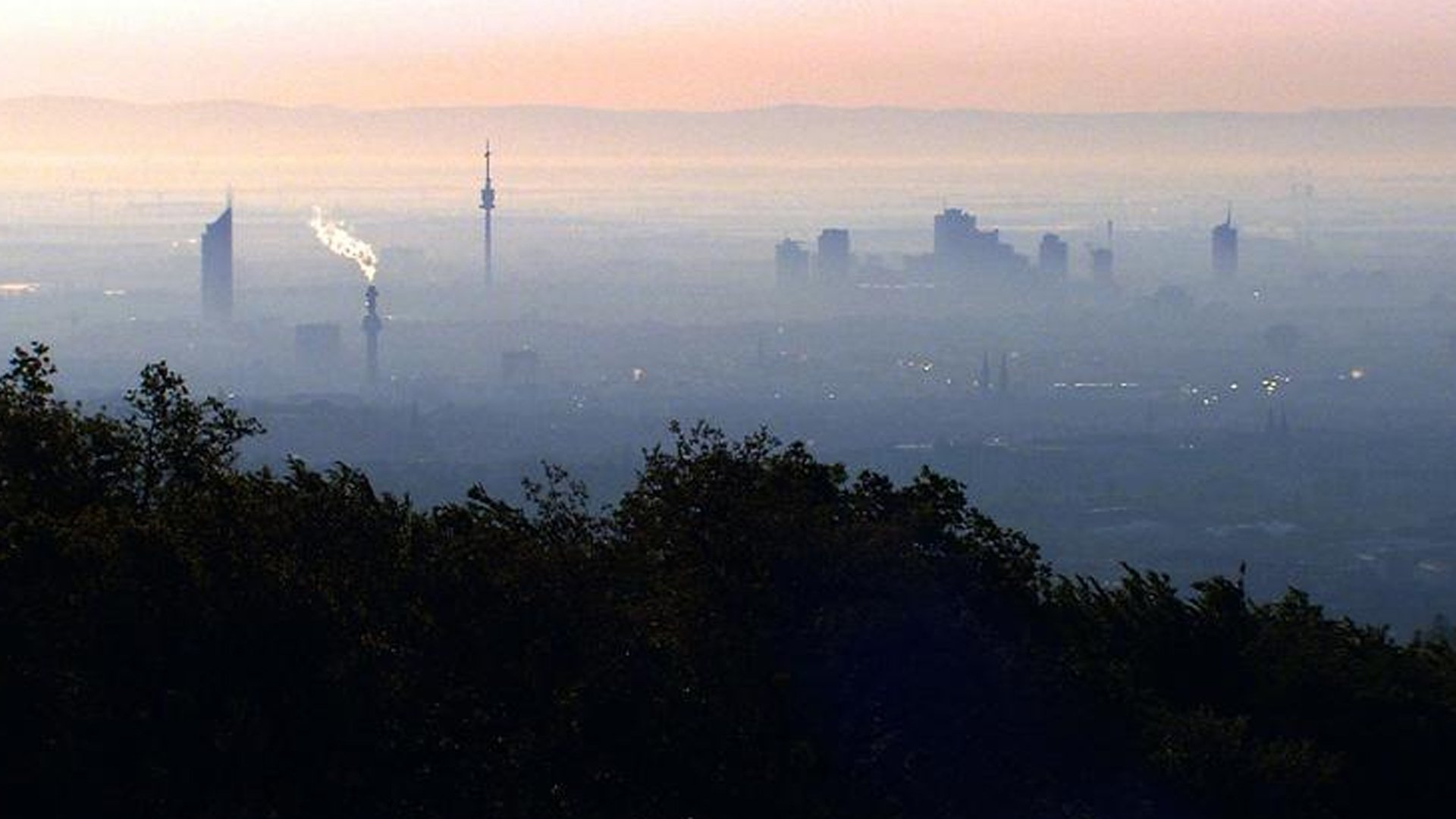 Vienna's Forests - Jewels of Green (2005)