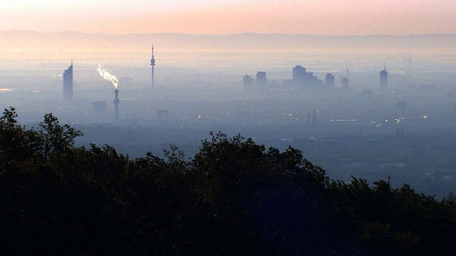 Los Bosques de Viena - Joyas de la Naturaleza