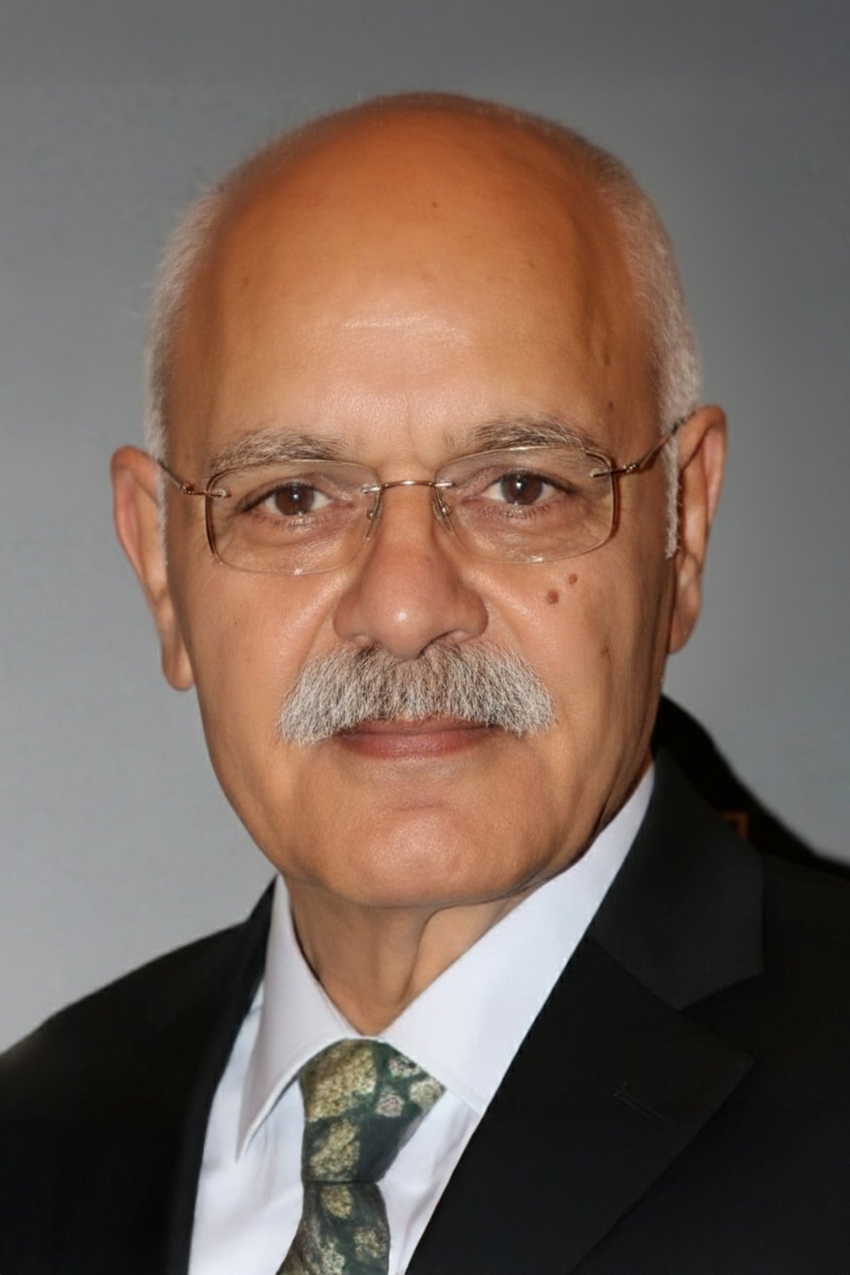 et billede af Demir Karahan