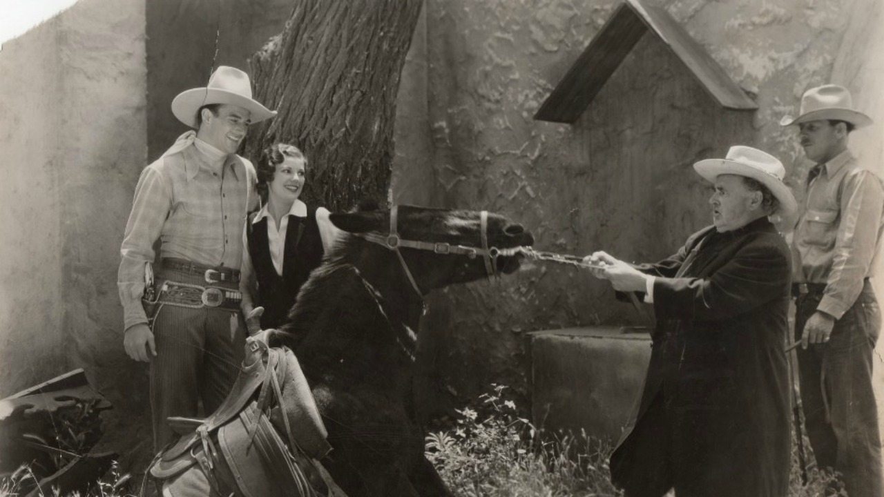 Ride Him, Cowboy (1932)