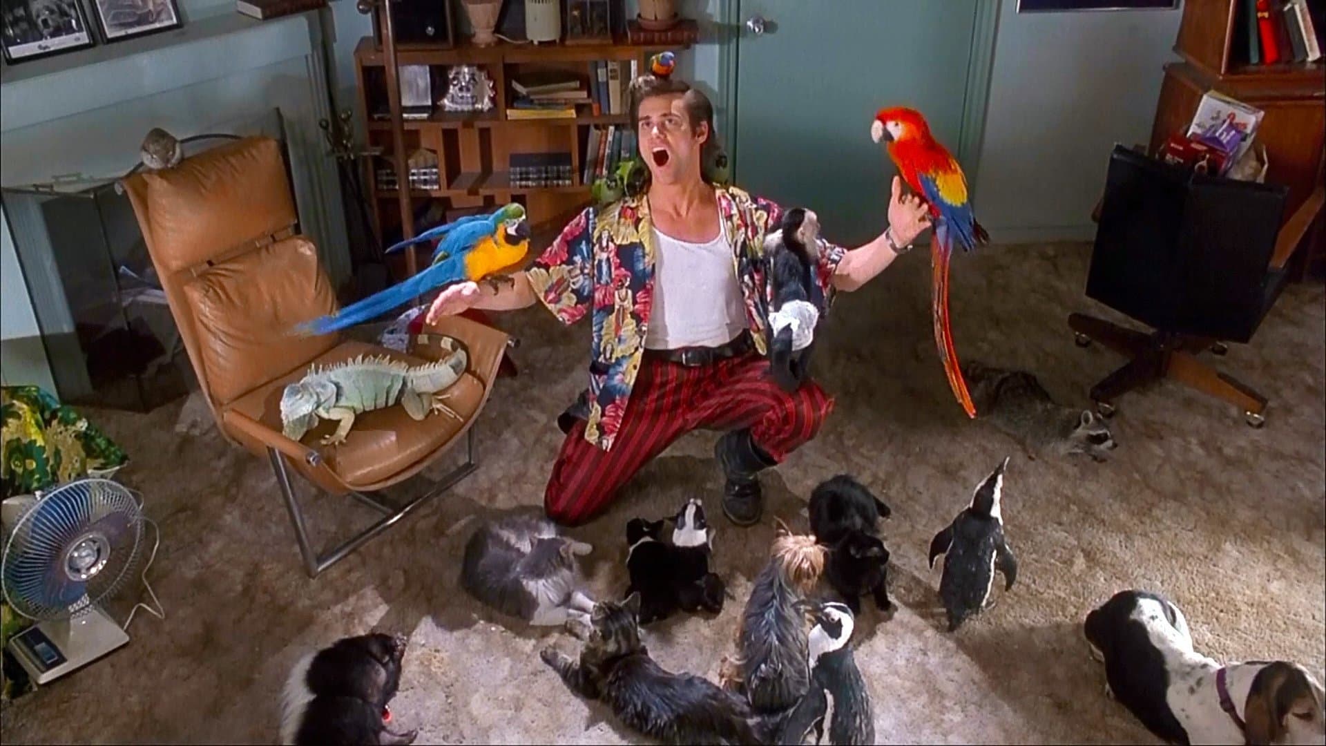 Ace Ventura: Pet Detective BACKDROP