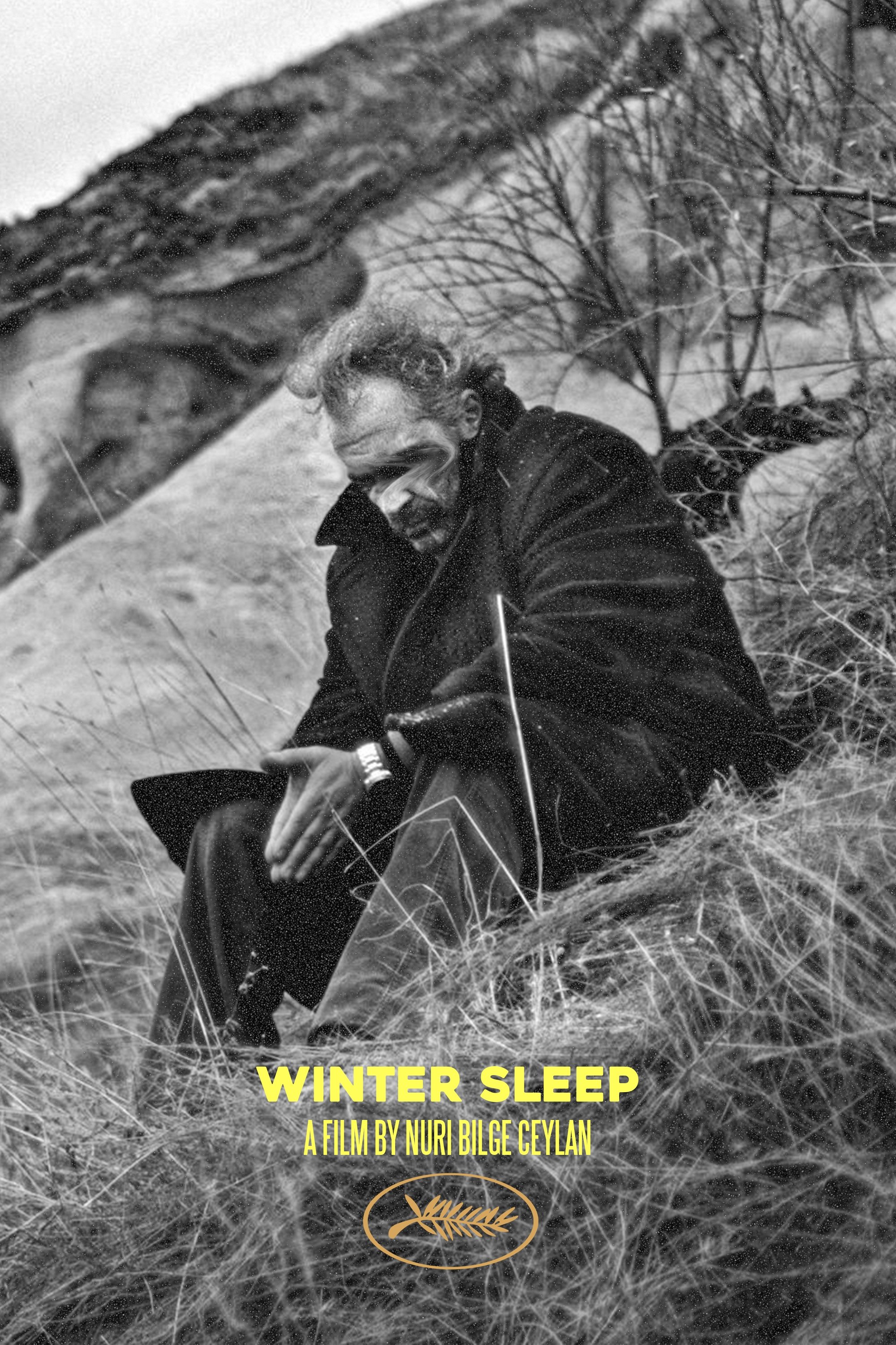 Winter Sleep