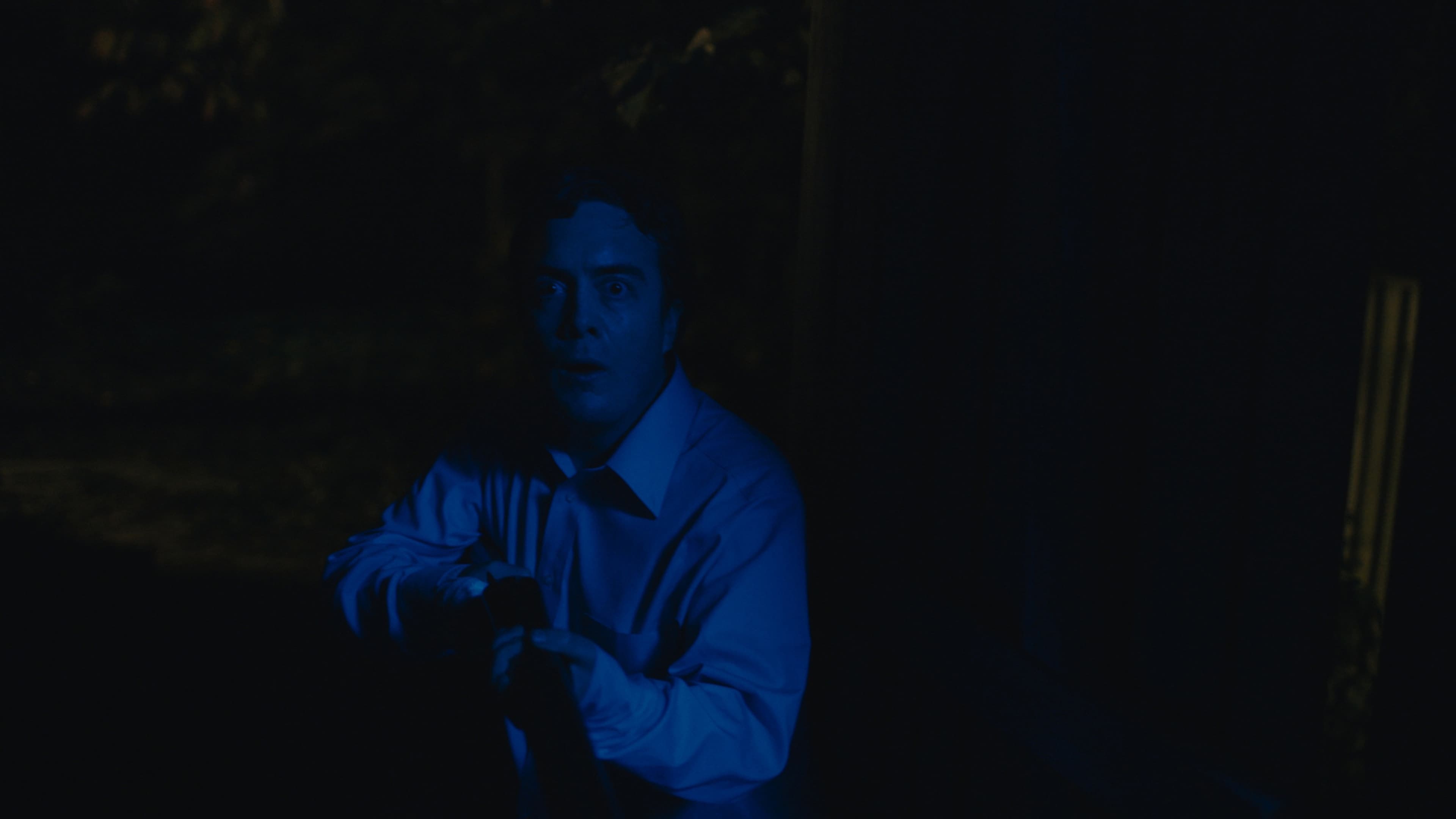 Blue Ruin (2014)