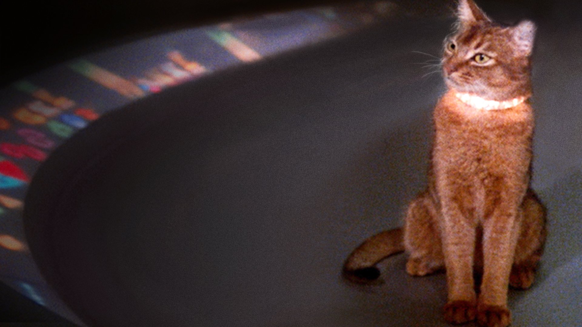 The Cat from Outer Space (1978)