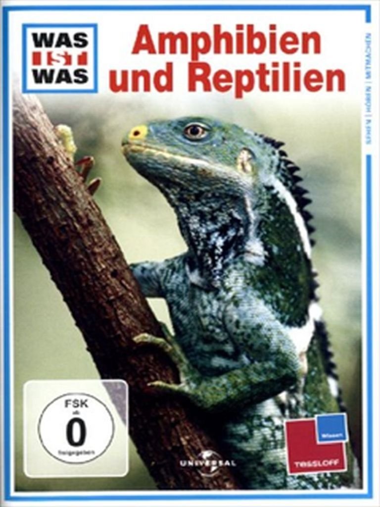 Content cover