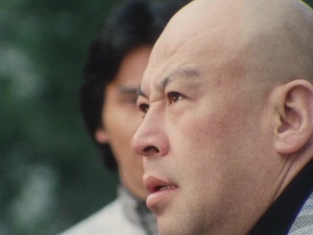 Dai Sentai Goggle-V