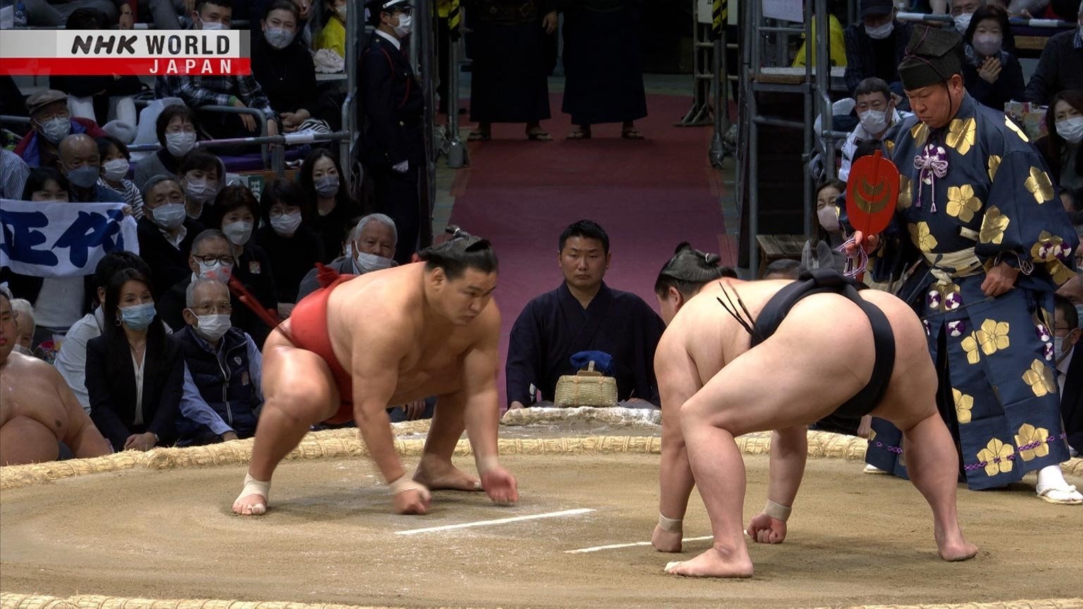 GRAND SUMO Highlights Staffel 14 :Folge 10 