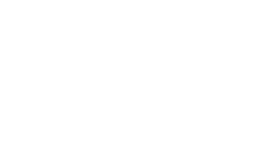 3 Ninjas Logo