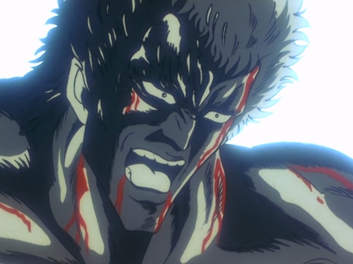 Fist of the North Star