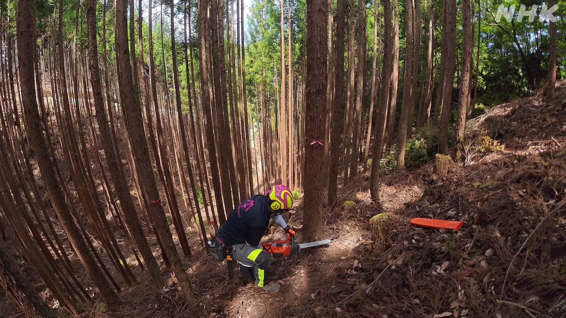 Episode 637