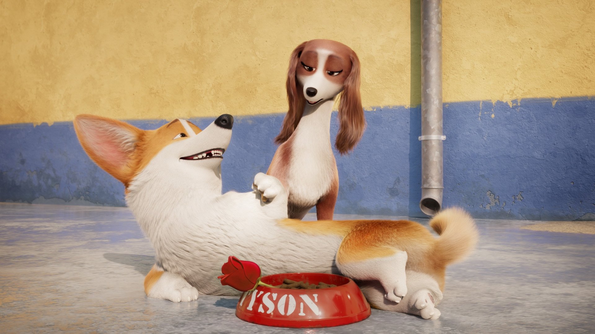 Corgi Psiak Królowej Cały Film Youtube Corgi, psiak królowej CDA – FILM Online