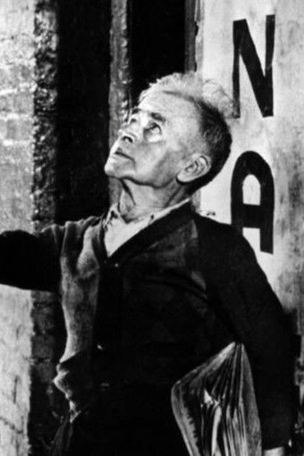 et billede af Pat Walshe