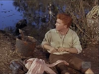 Bonanza