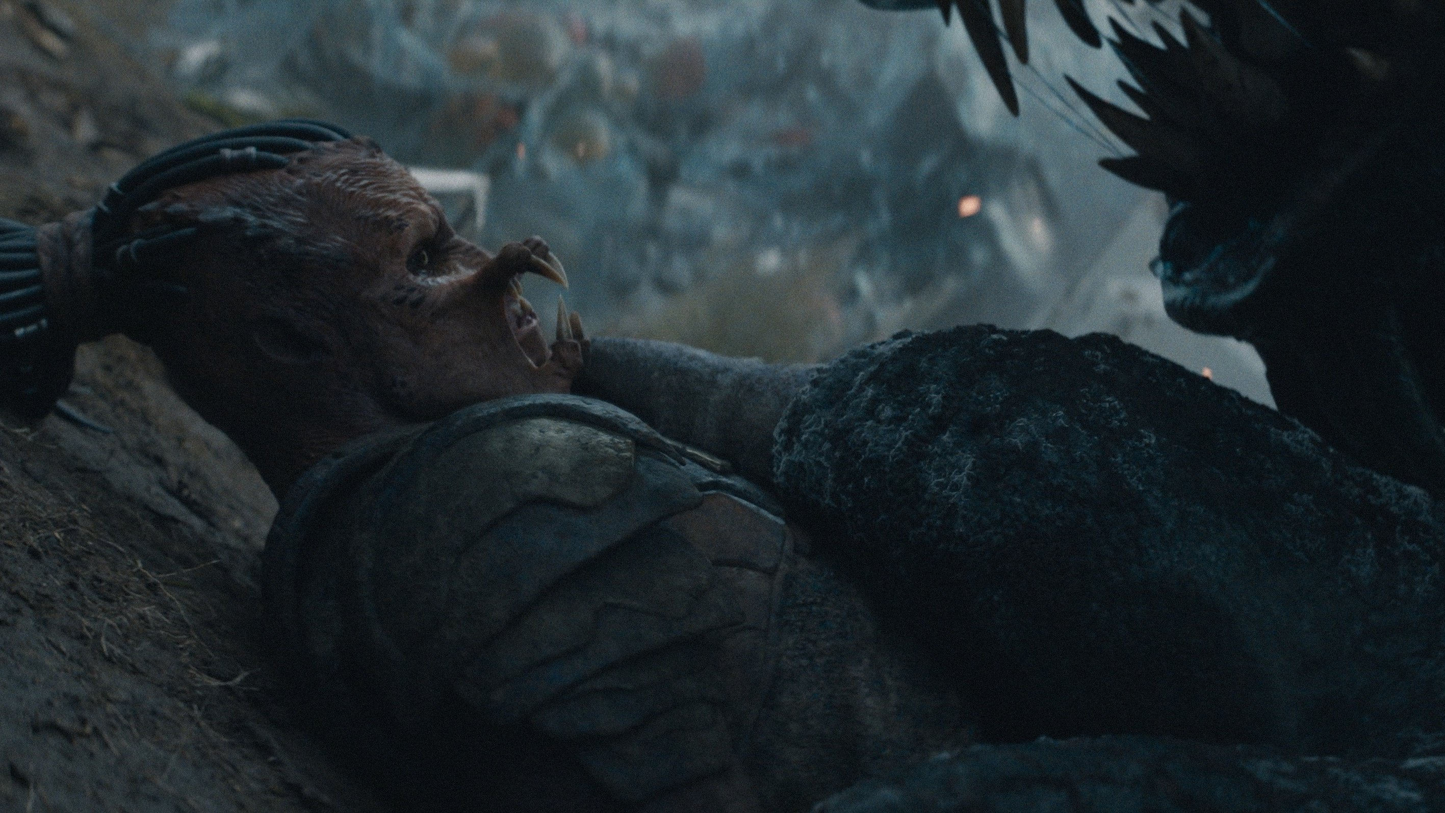 Предатор: Дивљина (2025)