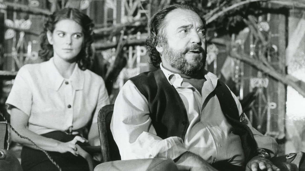Le Voyageur Imprudent (1982)
