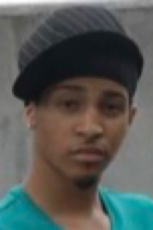 et billede af Rabbit