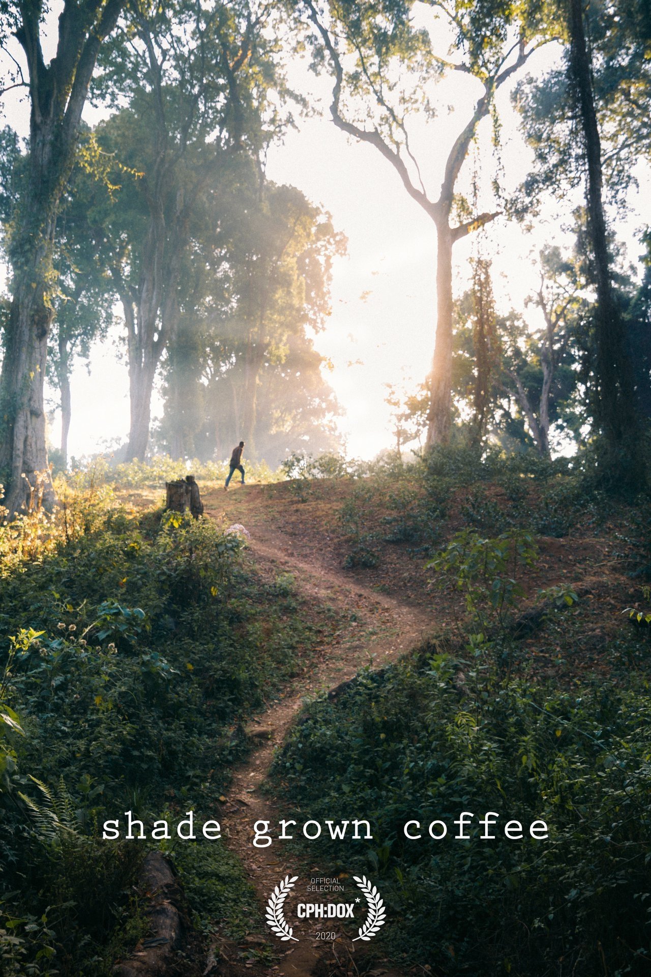 Shade Grown Coffee streaming