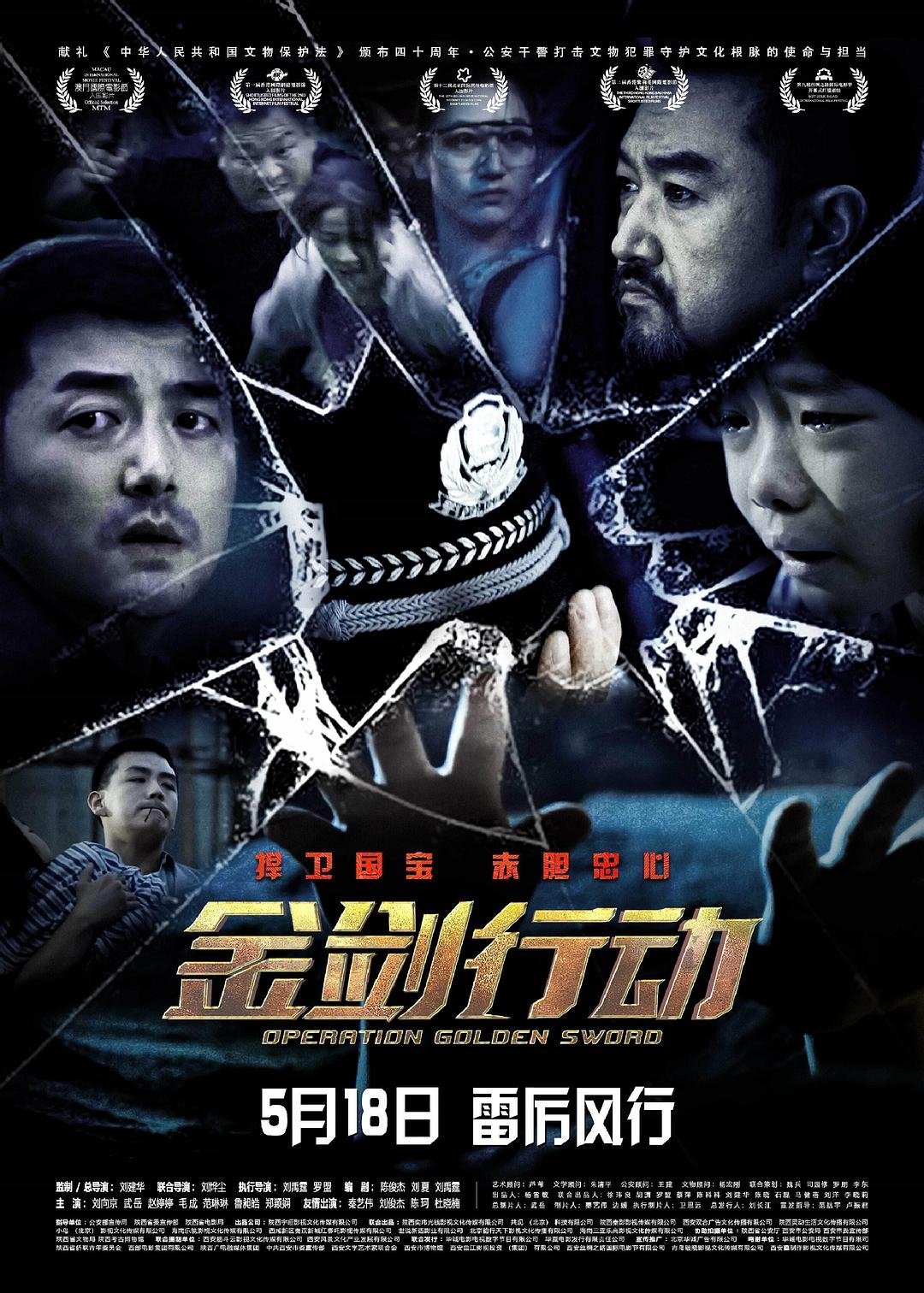 金剑行动 金剑行动