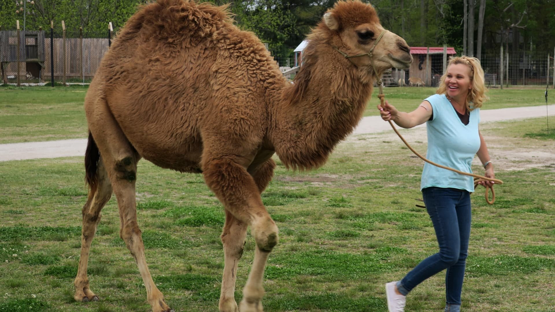 Thumbnail for Party Animals Season 1 Episode 6