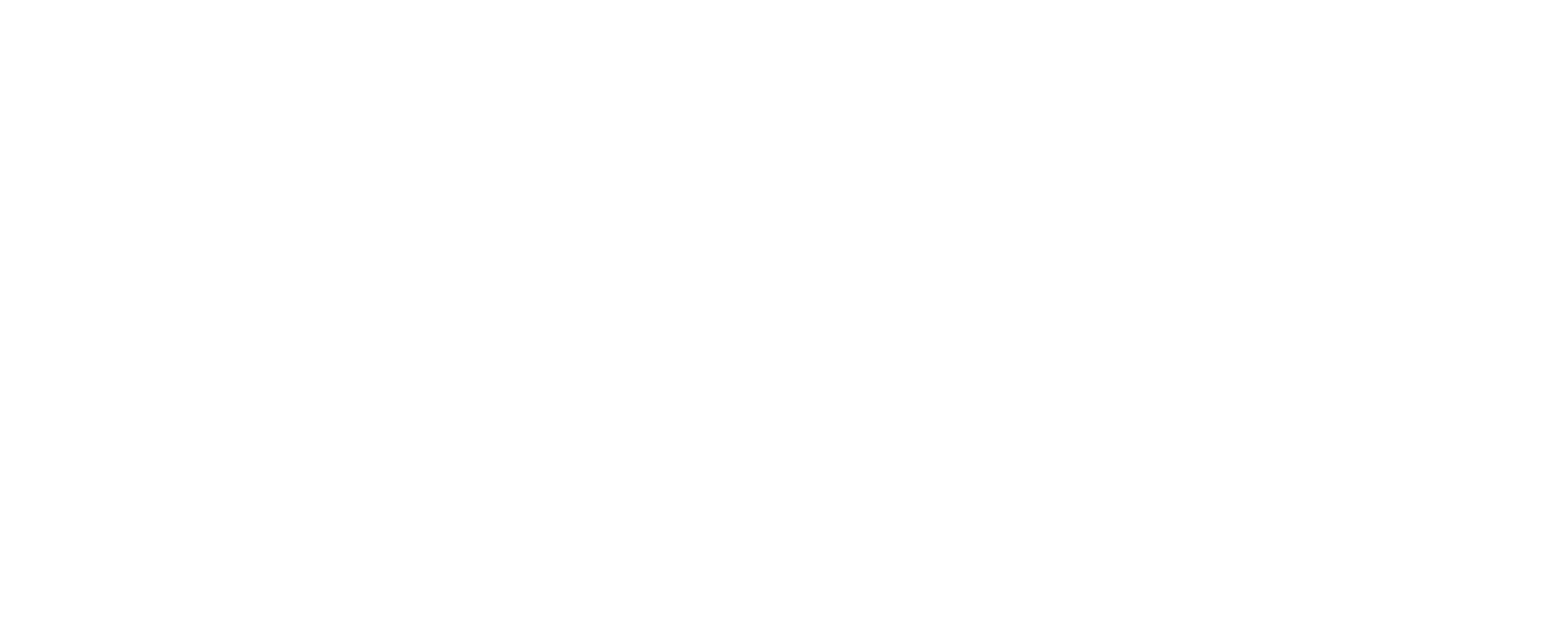 Pink Lie Logo