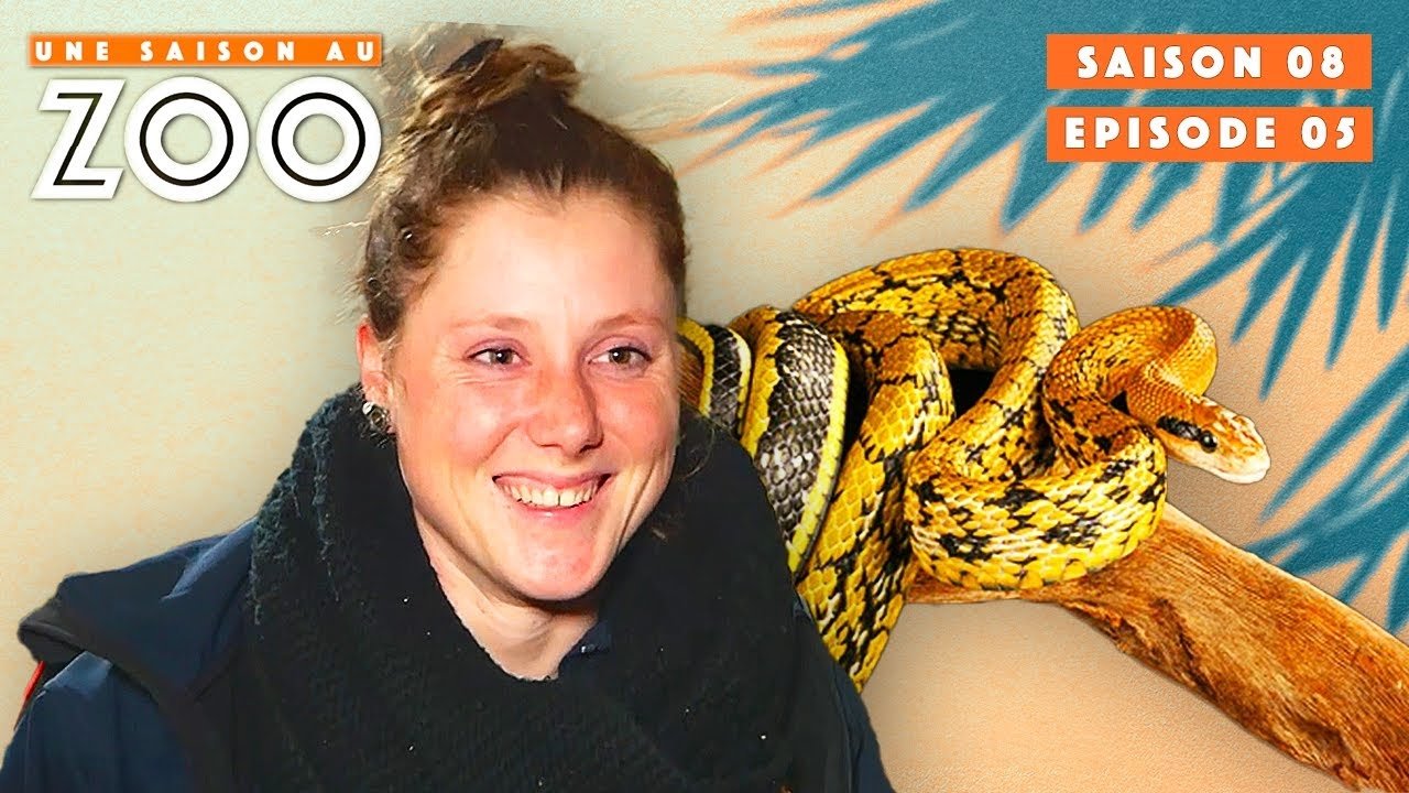 Une saison au zoo