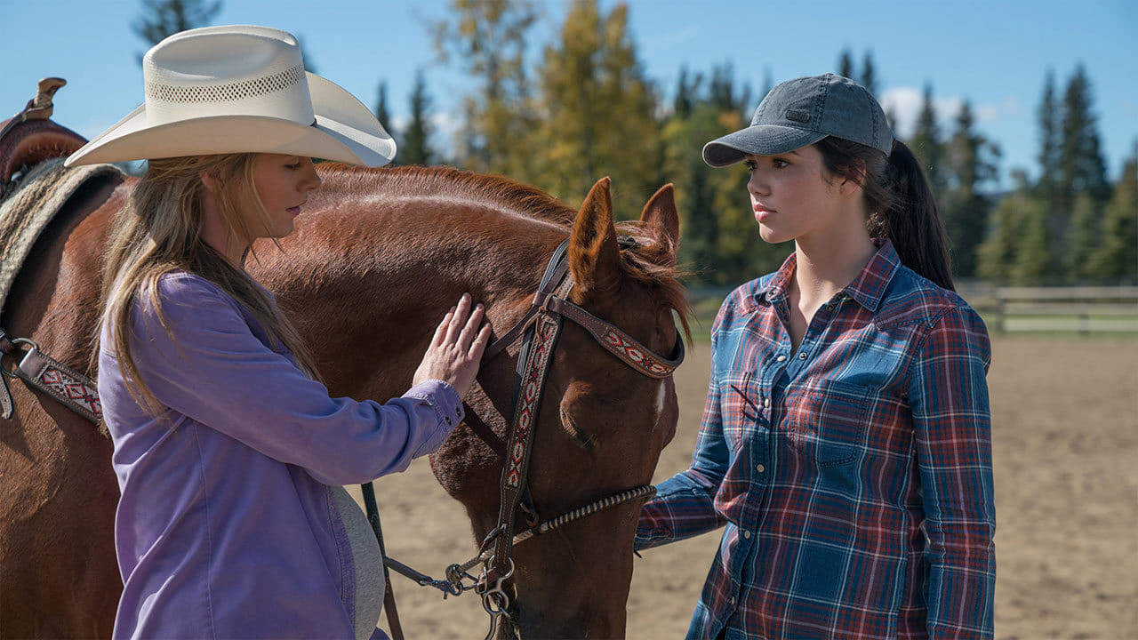 Heartland 10x11