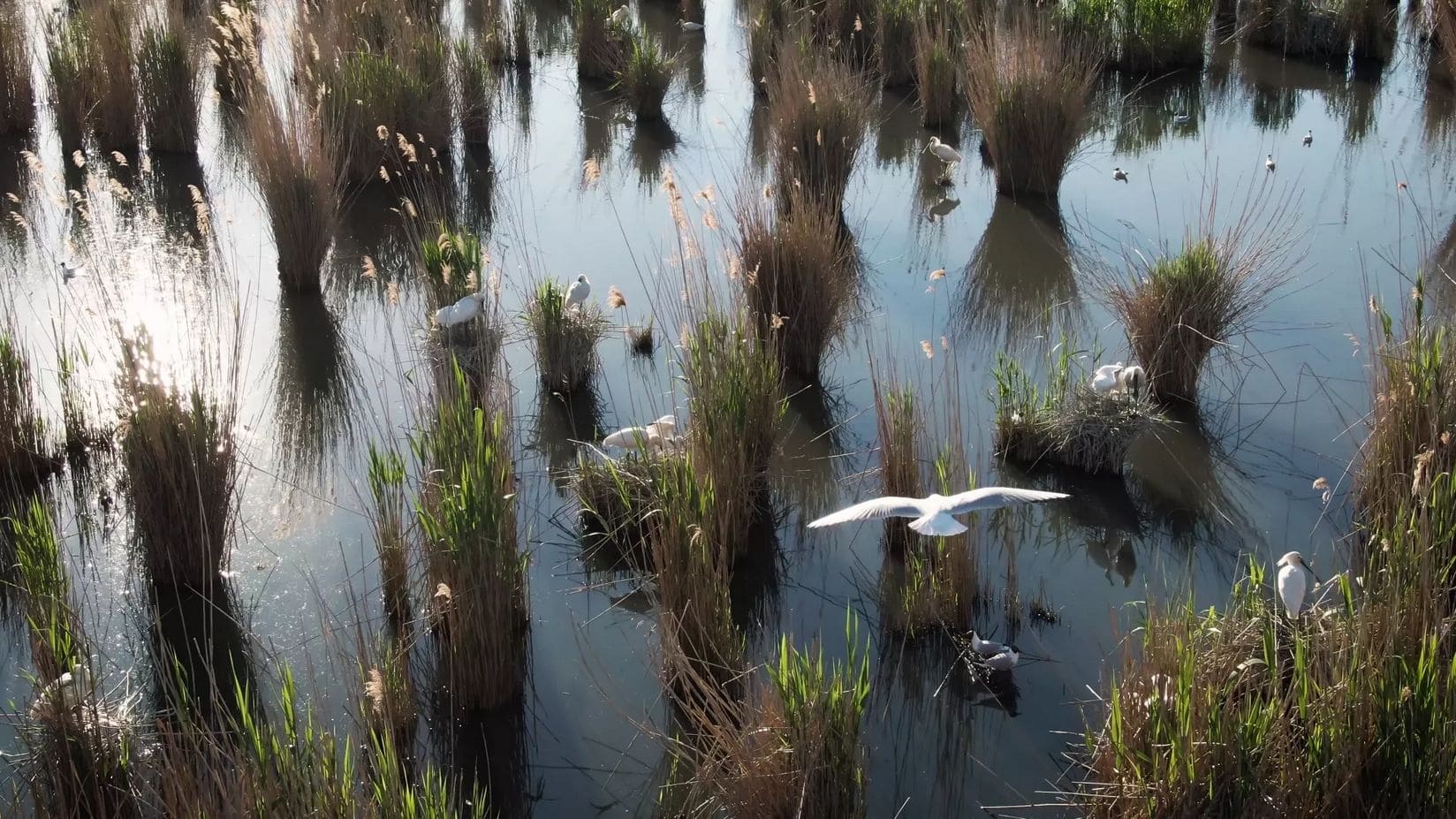 Past and Present - Our Waters are in the Hands of Man