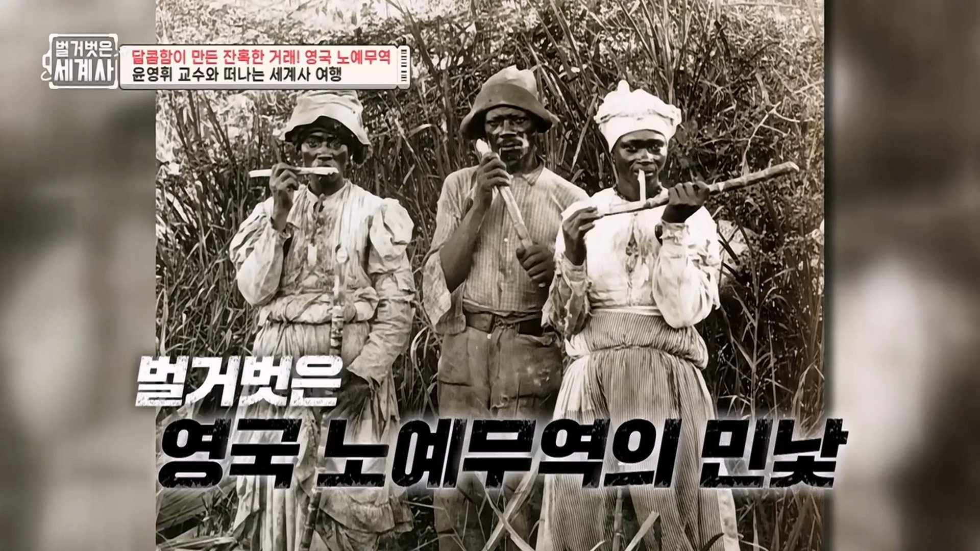 Episode 41