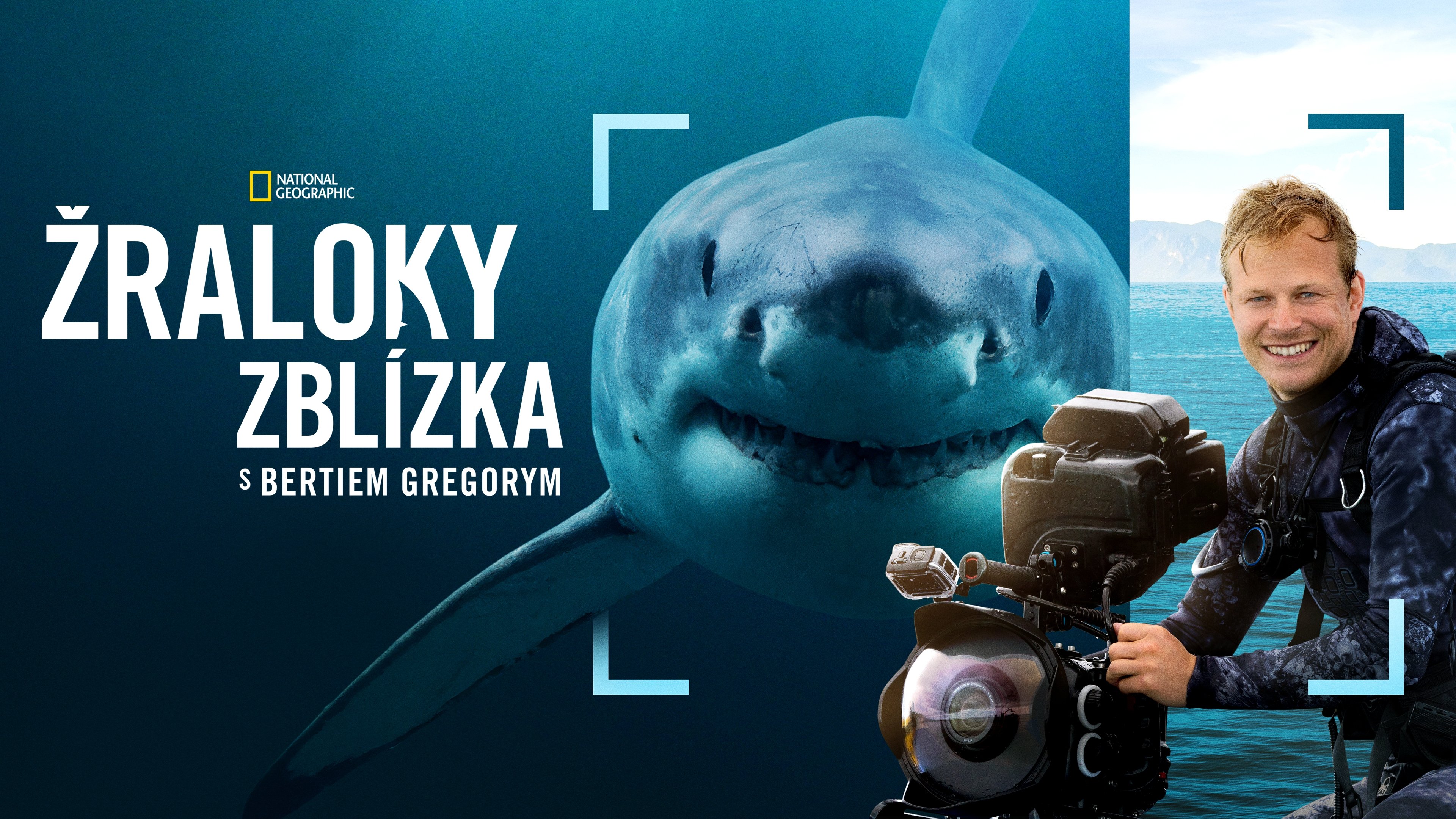 Sharks Up Close with Bertie Gregory backdrop