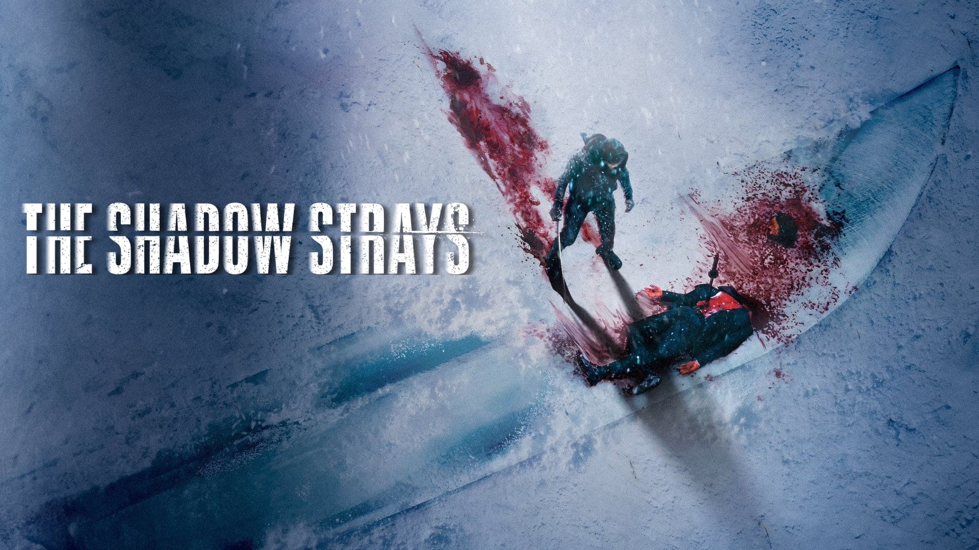 The Shadow Strays